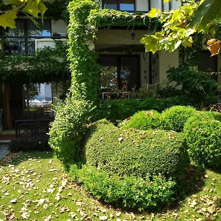 Oasis Resort&spa * Лозенец